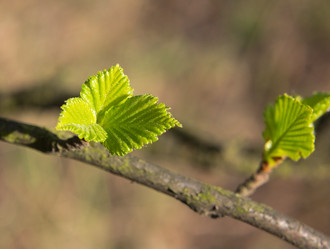 Similar image 2833723