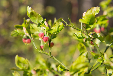 Similar image 2833724