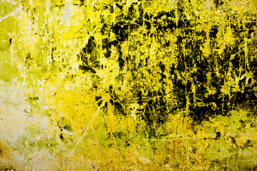 Similar image 2833807