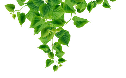 Similar image 2833816