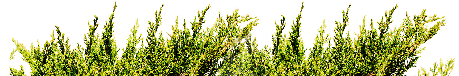 Similar image 2833848