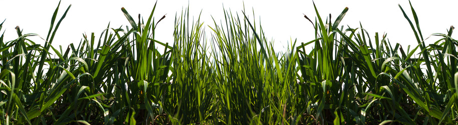 Similar image 2833850