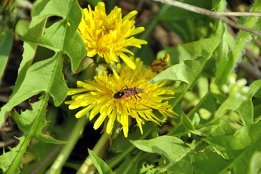 Similar image 2833856