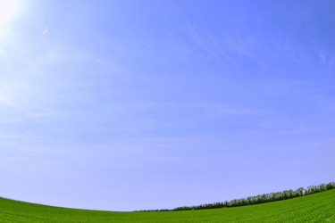 Similar image 2833881