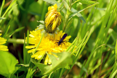 Similar image 2833890