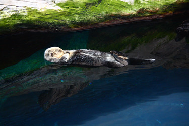 Similar image 2833964