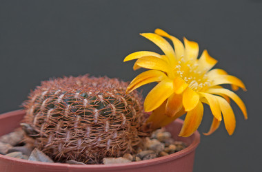 Similar image 2833978