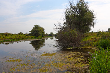 Similar image 2833985