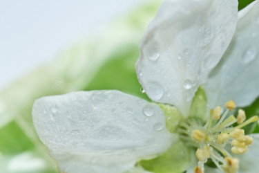 Similar image 2833991