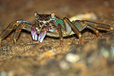 Similar image 2833998