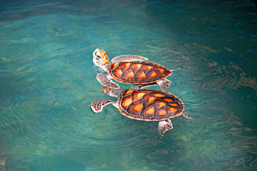 Similar image 2834001