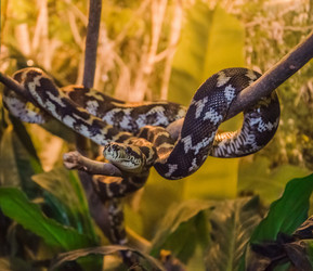 Similar image 2834019