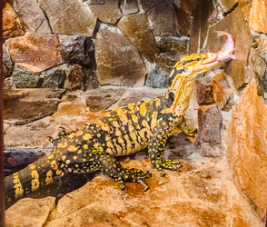 Similar image 2834020