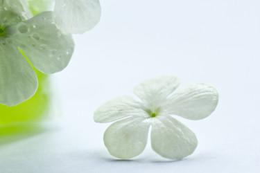 Similar image 2834056