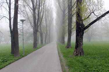 Similar image 2834066