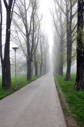 Similar image 2834069