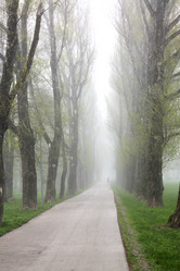 Similar image 2834073