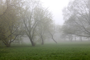 Similar image 2834085