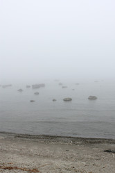 Similar image 2834092