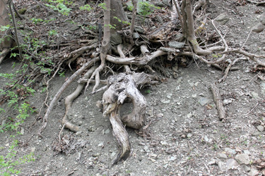 Similar image 2834093