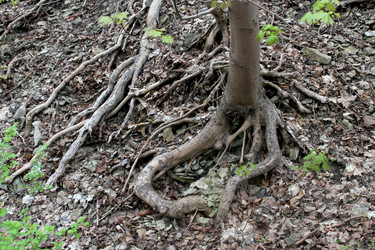 Similar image 2834112