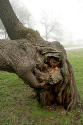 Similar image 2834113