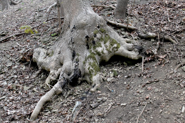 Similar image 2834114