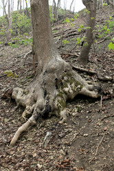 Similar image 2834116