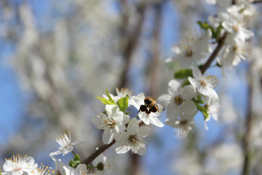 Similar image 2834124