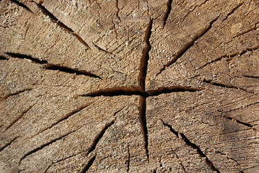 Similar image 2834127