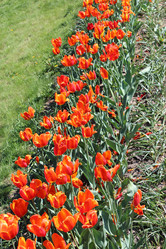 Similar image 2834149