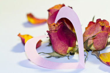 Similar image 2834250