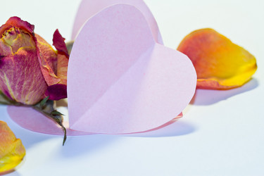 Similar image 2834251