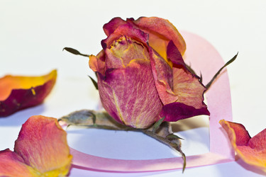 Similar image 2834252