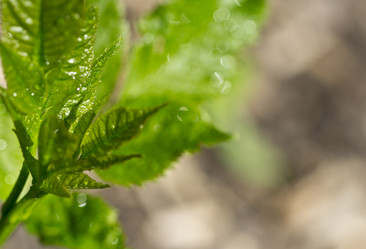 Similar image 2834254