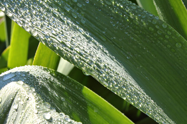 Similar image 2834302