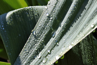 Similar image 2834303