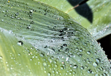 Similar image 2834304