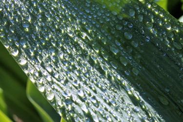 Similar image 2834305