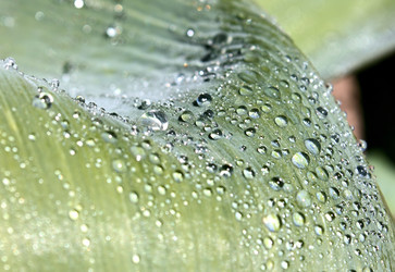 Similar image 2834306