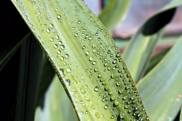 Similar image 2834307