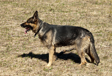 Similar image 2834308