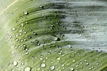 Similar image 2834309