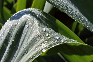 Similar image 2834310