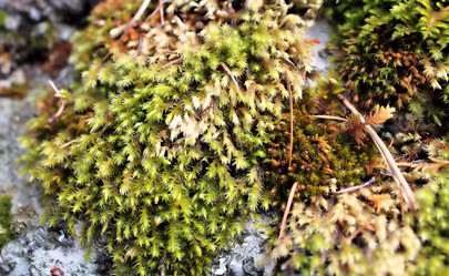 Similar image 2834312