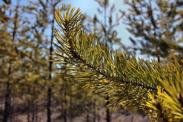 Similar image 2834313