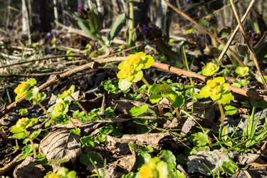 Similar image 2834316