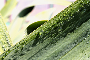 Similar image 2834317