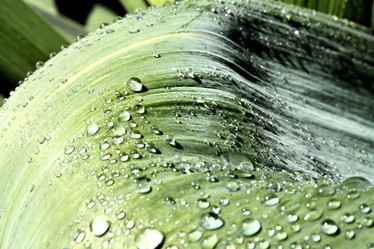 Similar image 2834318