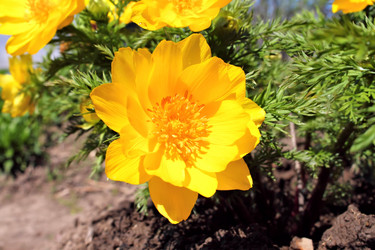 Similar image 2834319